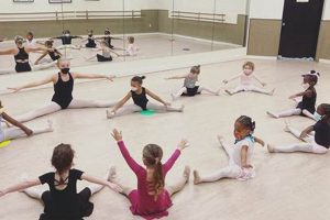 Discover Your Potential: Backstage Dance Studio Excellence Safem Fabrication - Precision Engineering & Custom Manufacturing Solutions Discover Your Potential: Backstage Dance Studio Excellence | Safem Fabrication - Precision Engineering & Custom Manufacturing Solutions