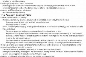 Best Immunity Guide: Anatomy & Phys 2 Study Tips Safem Fabrication - Precision Engineering & Custom Manufacturing Solutions Best Immunity Guide: Anatomy & Phys 2 Study Tips | Safem Fabrication - Precision Engineering & Custom Manufacturing Solutions