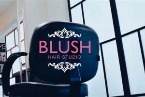 Get Your Blush Hair Studio Look Now! Safem Fabrication - Precision Engineering & Custom Manufacturing Solutions Get Your Blush Hair Studio Look Now! | Safem Fabrication - Precision Engineering & Custom Manufacturing Solutions