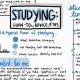 Guide to Create Study Guides: Ace Your Exams! | Study Travel Abroad | Explore Educational Trips & Global Learning Opportunities