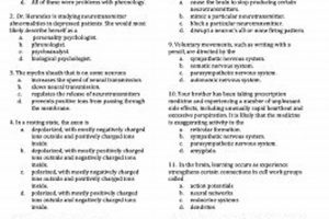 Ace Your AP Psych Exam: Cognition Study Guide (Unit 2) Safem Fabrication - Precision Engineering & Custom Manufacturing Solutions Ace Your AP Psych Exam: Cognition Study Guide (Unit 2) | Safem Fabrication - Precision Engineering & Custom Manufacturing Solutions