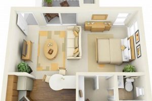 Clever Ways: How to Divide a Studio Apartment for Small Spaces Study Travel Abroad | Explore Educational Trips & Global Learning Opportunities Clever Ways: How to Divide a Studio Apartment for Small Spaces | Study Travel Abroad | Explore Educational Trips & Global Learning Opportunities