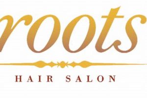 Roots Hair Studio: Natural Hair Starts Here! Safem Fabrication - Precision Engineering & Custom Manufacturing Solutions Roots Hair Studio: Natural Hair Starts Here! | Safem Fabrication - Precision Engineering & Custom Manufacturing Solutions