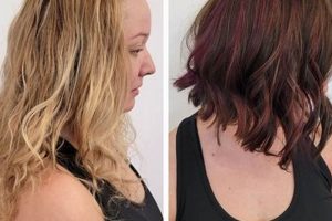 Your Haven Hair Studio: Cuts, Color & Care! Safem Fabrication - Precision Engineering & Custom Manufacturing Solutions Your Haven Hair Studio: Cuts, Color & Care! | Safem Fabrication - Precision Engineering & Custom Manufacturing Solutions