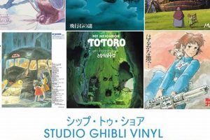 Discover Studio Ghibli Vinyl: Soundtracks & Collectibles Safem Fabrication - Precision Engineering & Custom Manufacturing Solutions Discover Studio Ghibli Vinyl: Soundtracks & Collectibles | Safem Fabrication - Precision Engineering & Custom Manufacturing Solutions