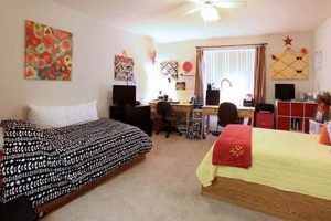 Affordable UF Studio Apartments: Find Your Perfect Space! Study Travel Abroad | Explore Educational Trips & Global Learning Opportunities Affordable UF Studio Apartments: Find Your Perfect Space! | Study Travel Abroad | Explore Educational Trips & Global Learning Opportunities