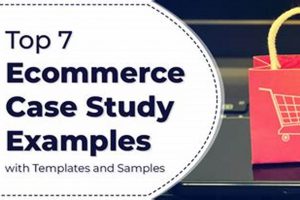 The Ultimate Ecommerce Case Study Guide: Success Stories Safem Fabrication - Precision Engineering & Custom Manufacturing Solutions The Ultimate Ecommerce Case Study Guide: Success Stories | Safem Fabrication - Precision Engineering & Custom Manufacturing Solutions