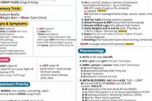 Get Your Pharma Edge: Pharmacology Study Guide PDF Download Safem Fabrication - Precision Engineering & Custom Manufacturing Solutions Get Your Pharma Edge: Pharmacology Study Guide PDF Download | Safem Fabrication - Precision Engineering & Custom Manufacturing Solutions