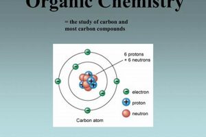 Unlock Organic Chemistry: Study of Carbon Compounds Made Easy Safem Fabrication - Precision Engineering & Custom Manufacturing Solutions Unlock Organic Chemistry: Study of Carbon Compounds Made Easy | Safem Fabrication - Precision Engineering & Custom Manufacturing Solutions