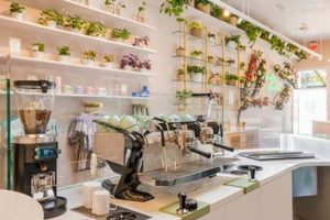 Best Coffee & Plants in Studio City Your Urban Oasis Study Travel Abroad | Explore Educational Trips & Global Learning Opportunities Best Coffee & Plants in Studio City Your Urban Oasis | Study Travel Abroad | Explore Educational Trips & Global Learning Opportunities