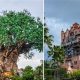 Hollywood Studios to Animal Kingdom: Best Transport Tips! | Study Travel Abroad | Explore Educational Trips & Global Learning Opportunities