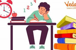 Best Places Where to Go to Study? Tips & Ideas Safem Fabrication - Precision Engineering & Custom Manufacturing Solutions Best Places Where to Go to Study? Tips & Ideas | Safem Fabrication - Precision Engineering & Custom Manufacturing Solutions