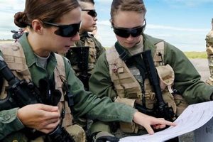 Best Places to Study Military Science: Programs & Careers Safem Fabrication - Precision Engineering & Custom Manufacturing Solutions Best Places to Study Military Science: Programs & Careers | Safem Fabrication - Precision Engineering & Custom Manufacturing Solutions