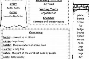 Boost Social Skills: 2nd Grade Social Studies Worksheets Today! Safem Fabrication - Precision Engineering & Custom Manufacturing Solutions Boost Social Skills: 2nd Grade Social Studies Worksheets Today! | Safem Fabrication - Precision Engineering & Custom Manufacturing Solutions