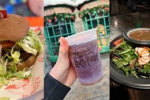 Your Guide to Vegan at Universal Studios: Tips & Tricks Study Travel Abroad | Explore Educational Trips & Global Learning Opportunities Your Guide to Vegan at Universal Studios: Tips & Tricks | Study Travel Abroad | Explore Educational Trips & Global Learning Opportunities