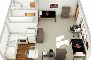 Find Affordable Studio Apartments Near SDSU Today! Safem Fabrication - Precision Engineering & Custom Manufacturing Solutions Find Affordable Studio Apartments Near SDSU Today! | Safem Fabrication - Precision Engineering & Custom Manufacturing Solutions