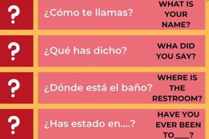 Learn Spanish: How Do You Say "I Study" in Spanish? Safem Fabrication - Precision Engineering & Custom Manufacturing Solutions Learn Spanish: How Do You Say "I Study" in Spanish? | Safem Fabrication - Precision Engineering & Custom Manufacturing Solutions