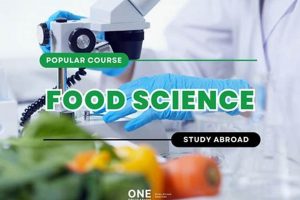 Food Science Study: Martin's College Journey + Careers Safem Fabrication - Precision Engineering & Custom Manufacturing Solutions Food Science Study: Martin's College Journey + Careers | Safem Fabrication - Precision Engineering & Custom Manufacturing Solutions