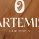 Artemis Hair Studio: Your Ultimate Hair Styling | Study Travel Abroad | Explore Educational Trips & Global Learning Opportunities