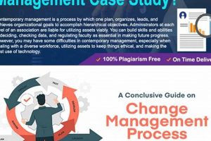Master Change: Case Study Success Stories Safem Fabrication - Precision Engineering & Custom Manufacturing Solutions Master Change: Case Study Success Stories | Safem Fabrication - Precision Engineering & Custom Manufacturing Solutions