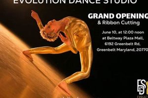 Unleash Your Inner Dancer at Evolution Dance Studio! Safem Fabrication - Precision Engineering & Custom Manufacturing Solutions Unleash Your Inner Dancer at Evolution Dance Studio! | Safem Fabrication - Precision Engineering & Custom Manufacturing Solutions