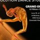 Unleash Your Inner Dancer at Evolution Dance Studio! | Study Travel Abroad | Explore Educational Trips & Global Learning Opportunities