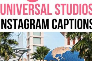 Best Captions for Universal Studios: Tips & Tricks! Safem Fabrication - Precision Engineering & Custom Manufacturing Solutions Best Captions for Universal Studios: Tips & Tricks! | Safem Fabrication - Precision Engineering & Custom Manufacturing Solutions