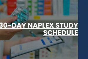 NAPLEX Study: How Many Hours Per Day Studying Boosts Success? Safem Fabrication - Precision Engineering & Custom Manufacturing Solutions NAPLEX Study: How Many Hours Per Day Studying Boosts Success? | Safem Fabrication - Precision Engineering & Custom Manufacturing Solutions