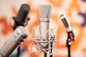 Best Recording Studio Microphones: Your Pro Record Starts Here Safem Fabrication - Precision Engineering & Custom Manufacturing Solutions Best Recording Studio Microphones: Your Pro Record Starts Here | Safem Fabrication - Precision Engineering & Custom Manufacturing Solutions