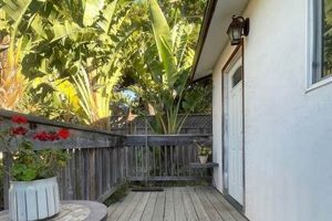 Find Affordable Studios for Rent in Salinas Today! Study Travel Abroad | Explore Educational Trips & Global Learning Opportunities Find Affordable Studios for Rent in Salinas Today! | Study Travel Abroad | Explore Educational Trips & Global Learning Opportunities