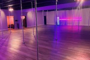 Unleash Your Inner Dancer: Studio Nightshade Pole Dance Fitness! Study Travel Abroad | Explore Educational Trips & Global Learning Opportunities Unleash Your Inner Dancer: Studio Nightshade Pole Dance Fitness! | Study Travel Abroad | Explore Educational Trips & Global Learning Opportunities