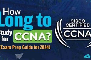 CCNA Study: How Long to Study for CCNA Success? Study Travel Abroad | Explore Educational Trips & Global Learning Opportunities CCNA Study: How Long to Study for CCNA Success? | Study Travel Abroad | Explore Educational Trips & Global Learning Opportunities