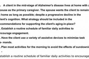 Study Smart: Avoiding Bad NBCOT Study Pack Answers [Guide] | Study Travel Abroad | Explore Educational Trips & Global Learning Opportunities
