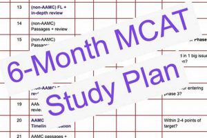 Your Ultimate MCAT 6-Month Study Plan Guide Safem Fabrication - Precision Engineering & Custom Manufacturing Solutions Your Ultimate MCAT 6-Month Study Plan Guide | Safem Fabrication - Precision Engineering & Custom Manufacturing Solutions