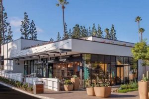 Unlock Your Vision: Mexican Studio City Guide & Locations Study Travel Abroad | Explore Educational Trips & Global Learning Opportunities Unlock Your Vision: Mexican Studio City Guide & Locations | Study Travel Abroad | Explore Educational Trips & Global Learning Opportunities