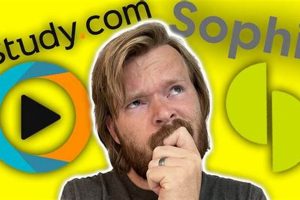 Study.com vs Sophia: Which is Best? [2024 Guide] | Study Travel Abroad | Explore Educational Trips & Global Learning Opportunities