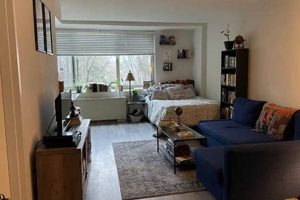Find Affordable Studio Apartments in Arlington, VA Today! Safem Fabrication - Precision Engineering & Custom Manufacturing Solutions Find Affordable Studio Apartments in Arlington, VA Today! | Safem Fabrication - Precision Engineering & Custom Manufacturing Solutions