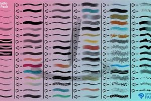 Easy Clip Studio Paint Brushes: Import Guide + Tips Study Travel Abroad | Explore Educational Trips & Global Learning Opportunities Easy Clip Studio Paint Brushes: Import Guide + Tips | Study Travel Abroad | Explore Educational Trips & Global Learning Opportunities