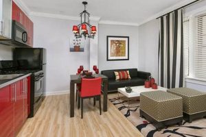 Chic Studio Apartments in Lincoln Park, Chicago - [Guide] | Study Travel Abroad | Explore Educational Trips & Global Learning Opportunities