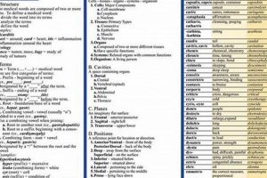 Get Free Medical Terminology PDF: Your Study Guide Study Travel Abroad | Explore Educational Trips & Global Learning Opportunities Get Free Medical Terminology PDF: Your Study Guide | Study Travel Abroad | Explore Educational Trips & Global Learning Opportunities