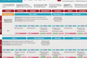 Prep with This USMLE Step 2 Study Schedule: Your Guide! Safem Fabrication - Precision Engineering & Custom Manufacturing Solutions Prep with This USMLE Step 2 Study Schedule: Your Guide! | Safem Fabrication - Precision Engineering & Custom Manufacturing Solutions
