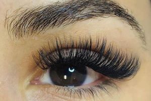 Your Guide to Amazing Lash Studio Prices & Costs Study Travel Abroad | Explore Educational Trips & Global Learning Opportunities Your Guide to Amazing Lash Studio Prices & Costs | Study Travel Abroad | Explore Educational Trips & Global Learning Opportunities