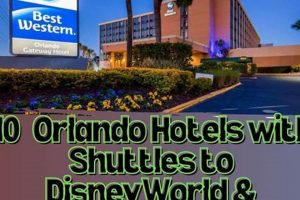 Top Hotels Near Universal Studios: Free Shuttle & More! Study Travel Abroad | Explore Educational Trips & Global Learning Opportunities Top Hotels Near Universal Studios: Free Shuttle & More! | Study Travel Abroad | Explore Educational Trips & Global Learning Opportunities