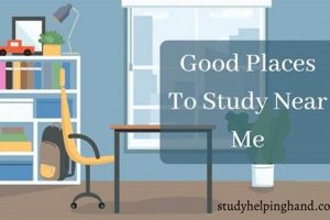 Best Late Night Study Places Near Me [Open 24/7?] | Study Travel Abroad | Explore Educational Trips & Global Learning Opportunities