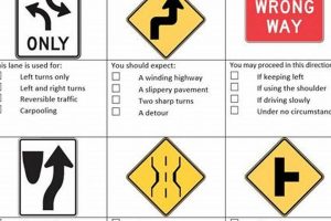 Ace Your Florida Permit Test: The Ultimate Study Guide Study Travel Abroad | Explore Educational Trips & Global Learning Opportunities Ace Your Florida Permit Test: The Ultimate Study Guide | Study Travel Abroad | Explore Educational Trips & Global Learning Opportunities