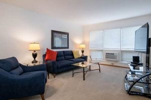 Find Your Perfect Lakeview Studio Apartments Today! Study Travel Abroad | Explore Educational Trips & Global Learning Opportunities Find Your Perfect Lakeview Studio Apartments Today! | Study Travel Abroad | Explore Educational Trips & Global Learning Opportunities