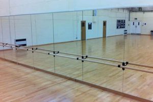 Essential Dance Studio Mirror Guide + Tips Study Travel Abroad | Explore Educational Trips & Global Learning Opportunities Essential Dance Studio Mirror Guide + Tips | Study Travel Abroad | Explore Educational Trips & Global Learning Opportunities