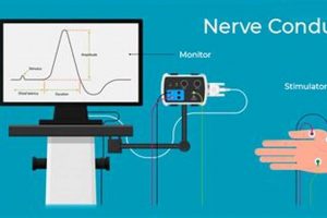 Nerve Conduction Study Cost: Factors, Insurance & More Safem Fabrication - Precision Engineering & Custom Manufacturing Solutions Nerve Conduction Study Cost: Factors, Insurance & More | Safem Fabrication - Precision Engineering & Custom Manufacturing Solutions