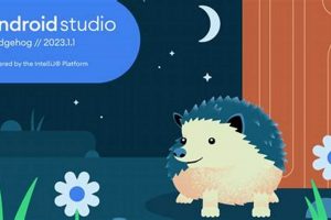 What's a Hedgehog Studio? Definition + Benefits Study Travel Abroad | Explore Educational Trips & Global Learning Opportunities What's a Hedgehog Studio? Definition + Benefits | Study Travel Abroad | Explore Educational Trips & Global Learning Opportunities