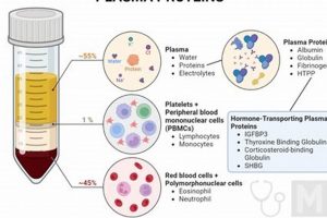 Study of Plasma Protein 3282: Sun et al Findings Study Travel Abroad | Explore Educational Trips & Global Learning Opportunities Study of Plasma Protein 3282: Sun et al Findings | Study Travel Abroad | Explore Educational Trips & Global Learning Opportunities